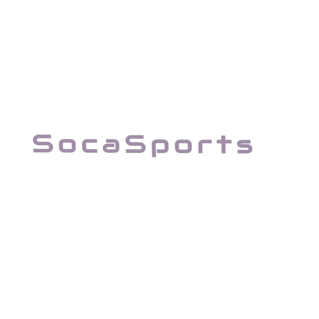 SocaSports and soca services painting. Profesional house painters